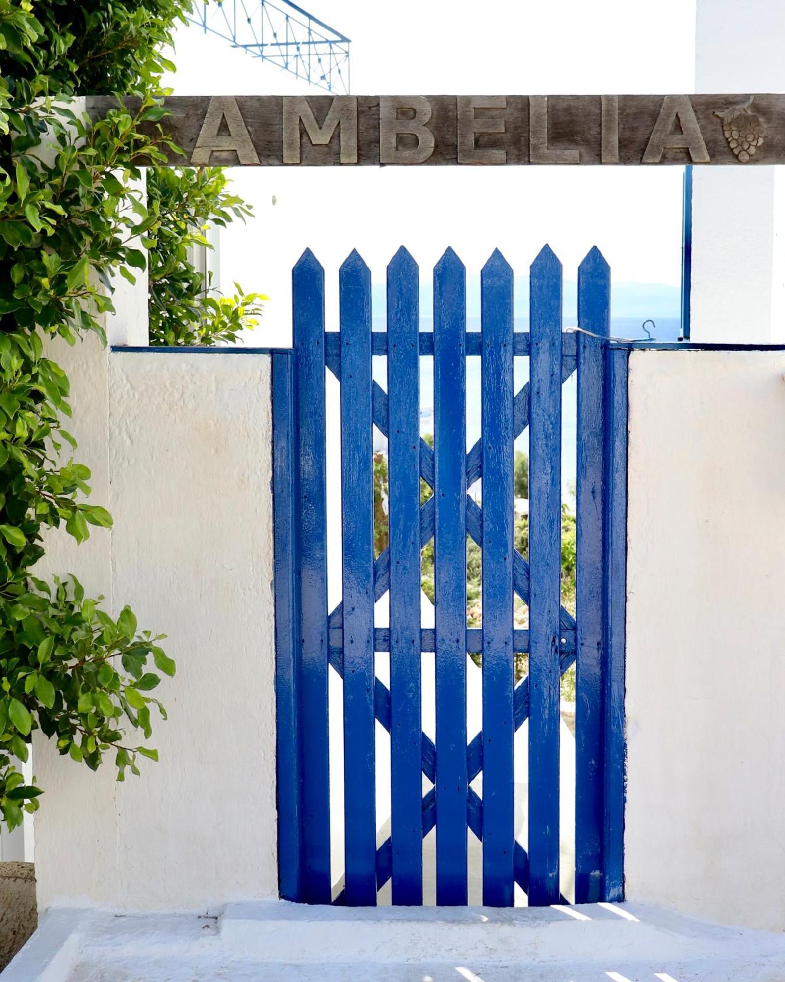 4 Ambelia Paradise Megalochori  Eksteriør billede